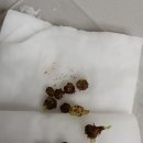 주아뷰티 이미지