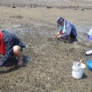 드림펜션 이미지