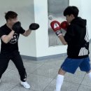 경도복싱 이미지