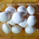 부여양송이마을 이미지