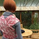 밝은한의원 이미지