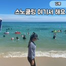 바위섬식당 | "바위섬에서만 5시간!" 8월 강릉 여행 사천진해수욕장 스노클링 후기