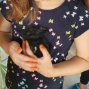 즐거운농장 | 안산 화정동 카페 팜플로리아 동물먹이주기 물놀이 다채로운 실내놀이공간