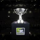 성남종합운동장 다목적체육관 이미지