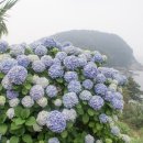 해금강로 이미지