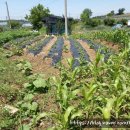 해뜬농장 이미지