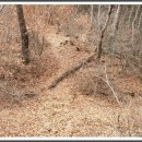 대강면 평촌마을 이미지