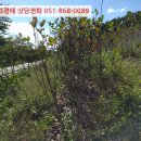 하개명마을회관 이미지