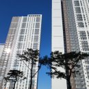 스센 이미지