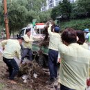 성남시의회 이미지