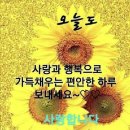 수지상사 이미지