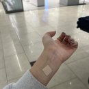 잼잼브로우 이미지