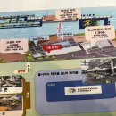 2023년 여름 가평여행 후기 :: 가평 빠지 캠프통 포레스트 상세 후기