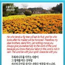 오늘의 양식