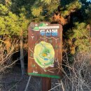 말미목장 | 🍊혼제주여행 day 2 소심한책방 성이시돌목장 마이리얼트립 오름투어