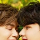 보노포스 이미지