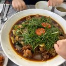 유한회사 한재플라스틱 | [25. 11. 16] 안동청과합자회사 및 하회마을 직접 다녀온 후기