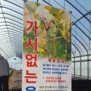 남광우농장 이미지