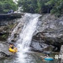 도니마니 이미지