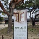 창덕궁 봄 한정 관람 ‘빛 바람 들이기’ 후기, 사람 많지만 내년에 꼭 보세요