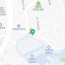 고양이분양 온리캣 이미지