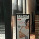 내 손안의 하모니카 : 입문 | 상암동 믐바레앤요가) 바레 입문 수업 후기