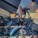 남해바다풍경 이미지