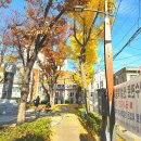 동래부사 민영훈공 이미지