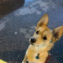 KNOLLO(놀로) 이미지