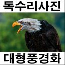 소품풍경 이미지