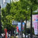 대구 수성구 초등 남아 자전거 구매 후기 - 바이크드림 황금점