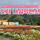 내설악펜션