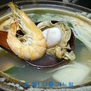 사카나 이미지