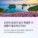 신안밧데리 | 신안 기념품 제작 업체 잘하는 곳! 수량별 할인받기