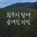 정선헬스 이미지