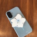 설악젤라또 이미지