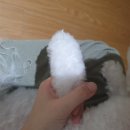 강아지 미용실 이미지
