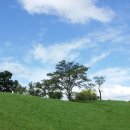 올림픽공원 이미지