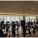 시그널짐 플레티넘 | 옥정 PT의 명소 시그널짐 플래티넘 헬스장 후기