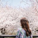 낙동제방 자전거도로 이미지