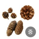 장식 이미지