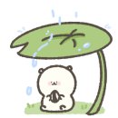 태화짜장보쌈 이미지