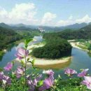 한반도농원