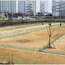 정촌 파크골프장 이미지