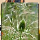 옥스퍼드영어학원 이미지