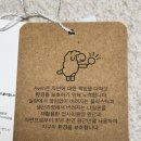골프장갑추천 | 에이븐 여성 플렉스 골프장갑 착용 후기