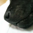 명수코와 오씨공부. 이미지