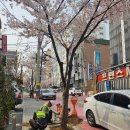 원종로 티스토리