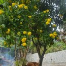 THE 숨 FOREST 이미지