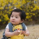 경미 이미지